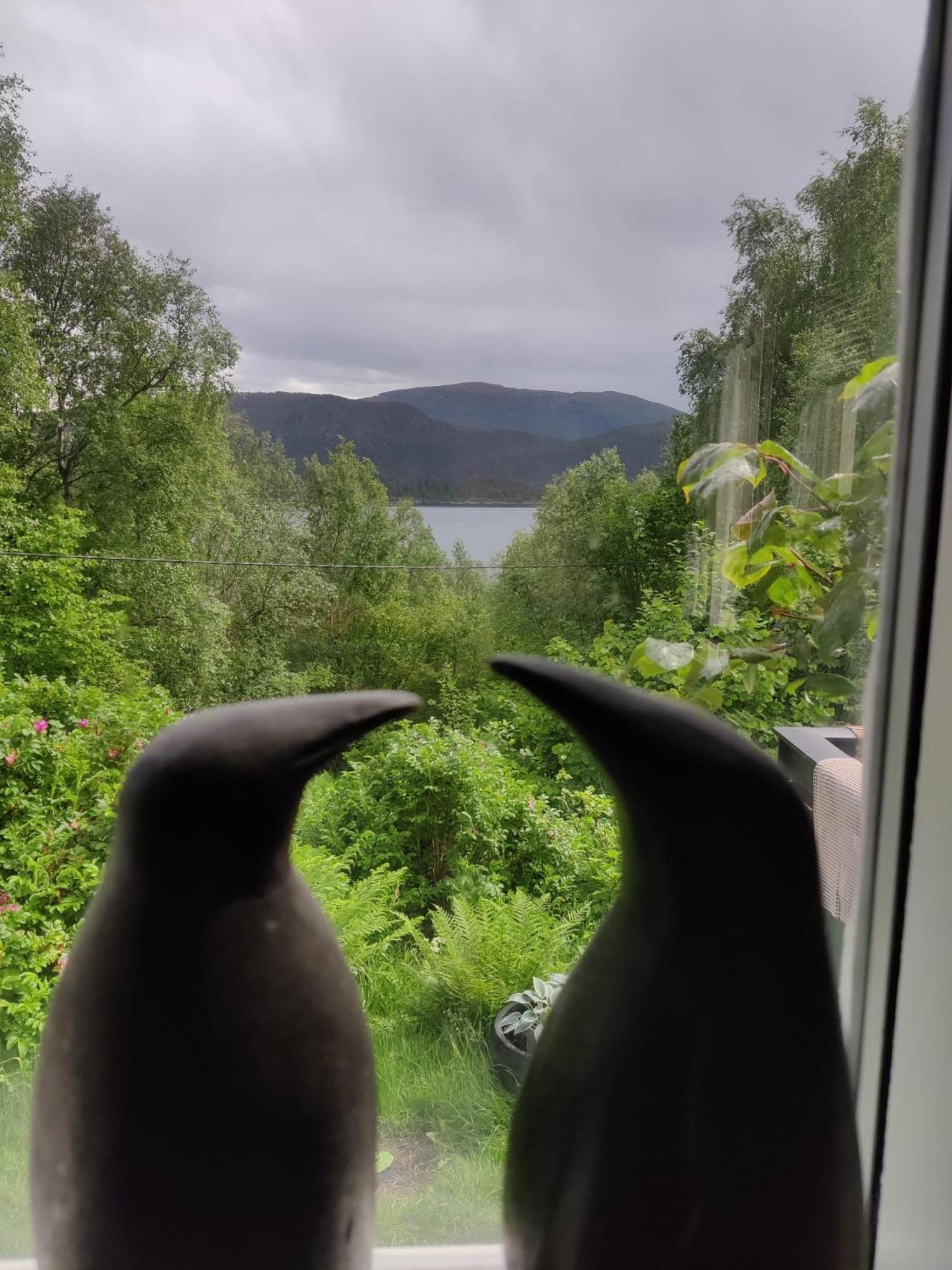 Fjord Peace Villa Skodje Екстериор снимка